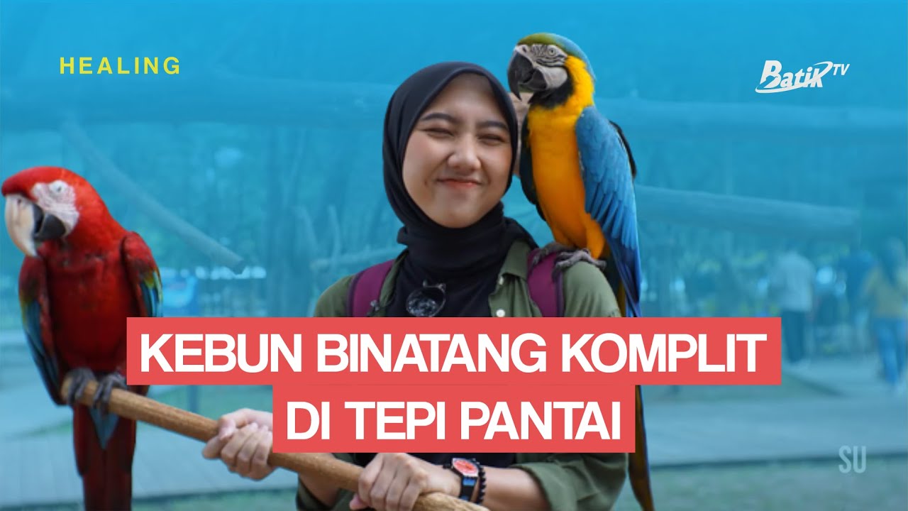SAFARI BEACH JATENG - HEALING