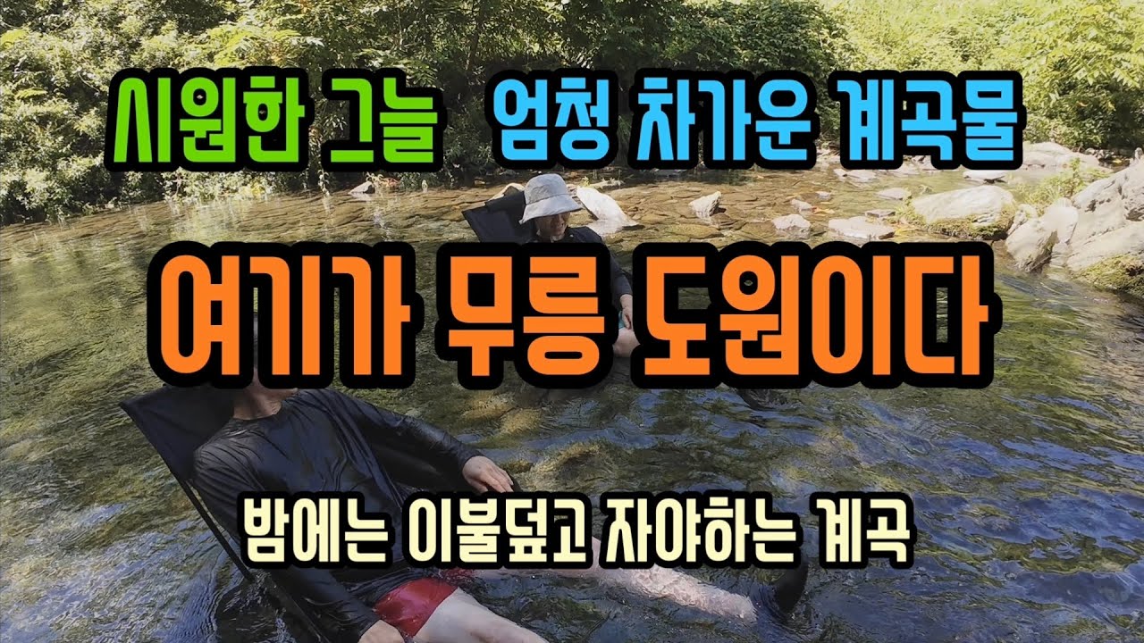 시원한 그늘, 맑고 차가운 계곡물 //여름에는 여기가 무릉도원