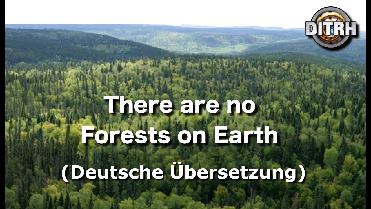 Es gibt keine W&auml;lder auf der Erde!