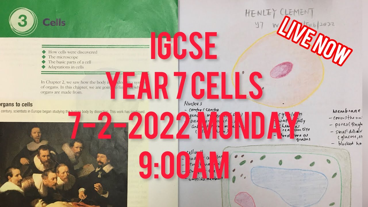 Year 7 Science class (week 4)