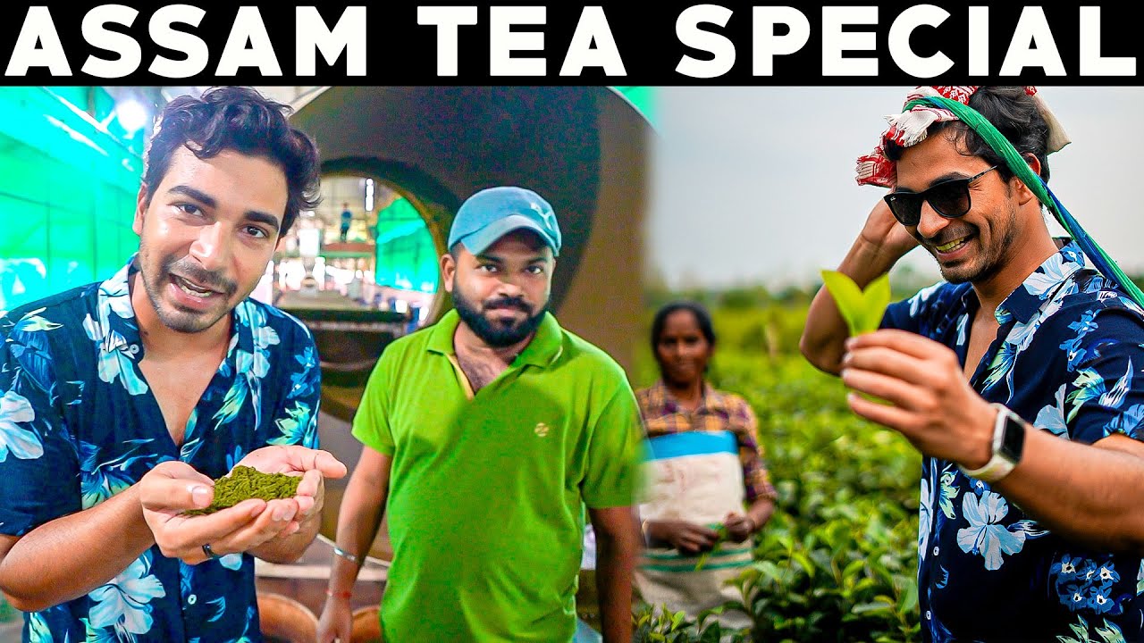 CHAI LOVERS DON'T MISS THIS | Assam Tea Special Vlog