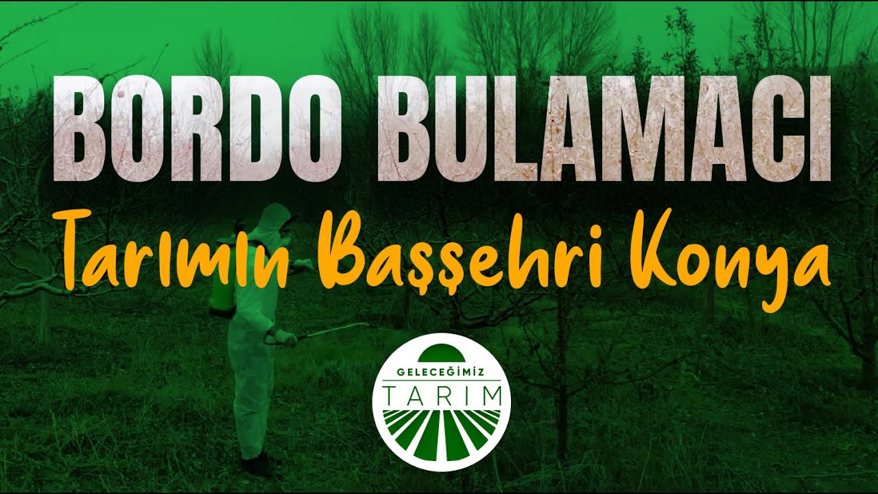 Geleceğimiz Tarım | BORDO BULAMACI