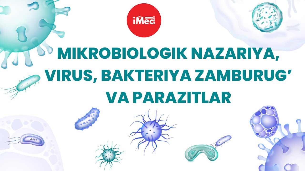 Mikrobiologik nazariya, virus, bakteriya zamburug’ va parazitlar | #infeksiya #imed #imedteam
