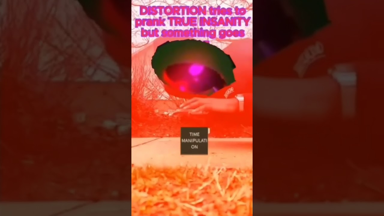 DISTORTION tries to prank TRUE INSANITY but someting goes wrong #roblox #shorts #undertale #