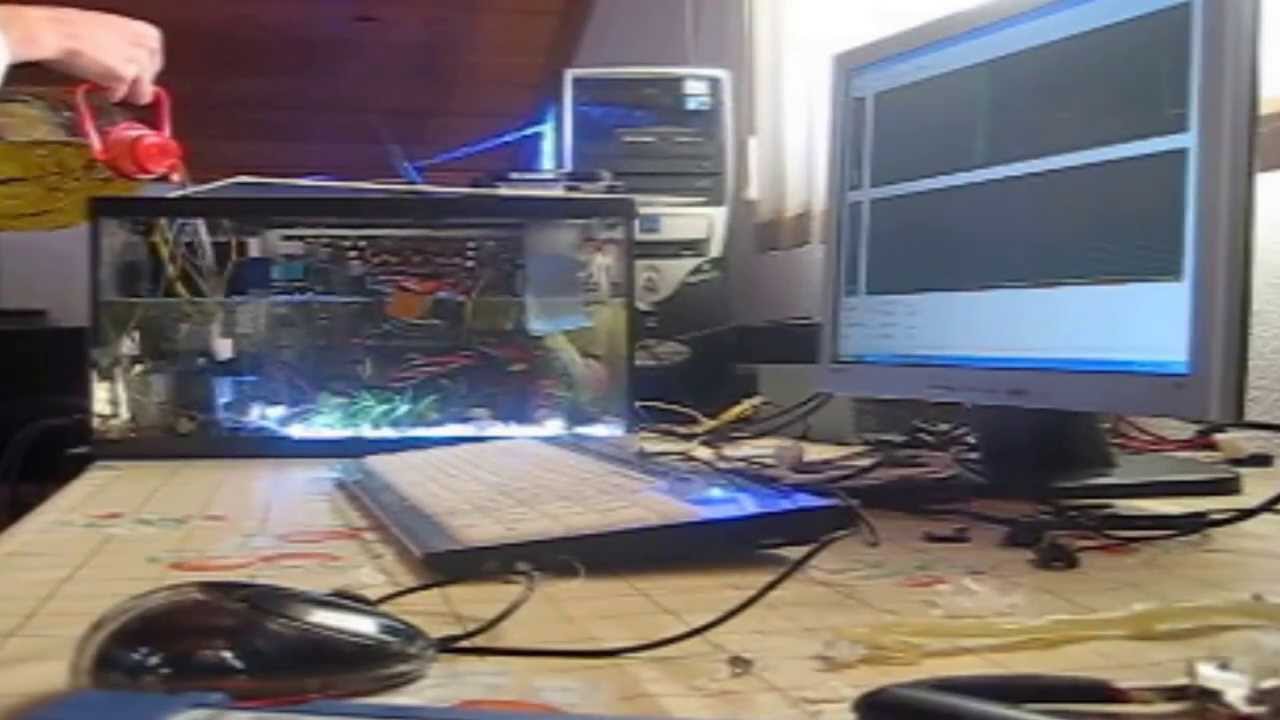 Vegetal Oil Pc Modding - |D| Team