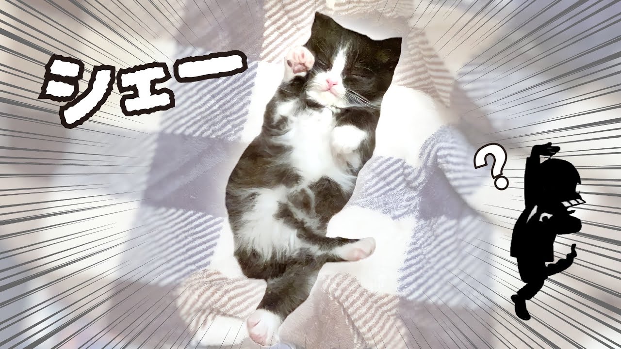 【保護猫】子猫の寝方が独特すぎるww