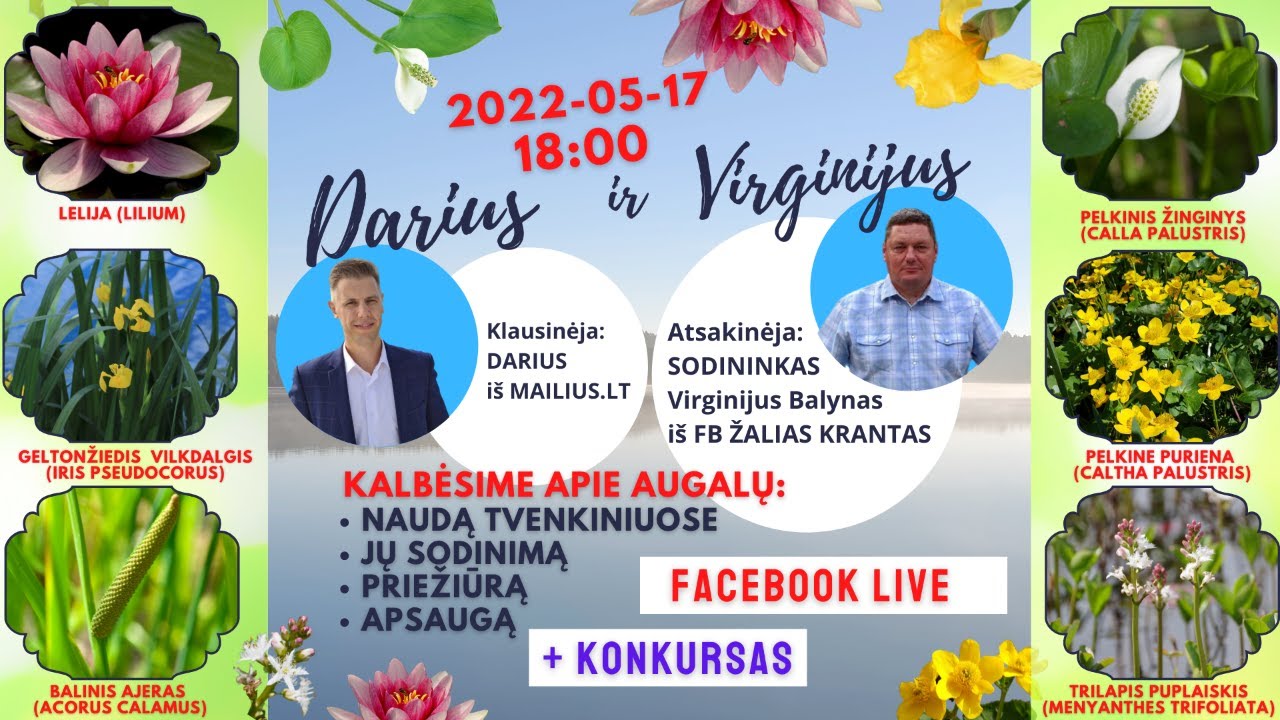 Vandens augalai (sodinimas ir priežiūra) + Konkursas