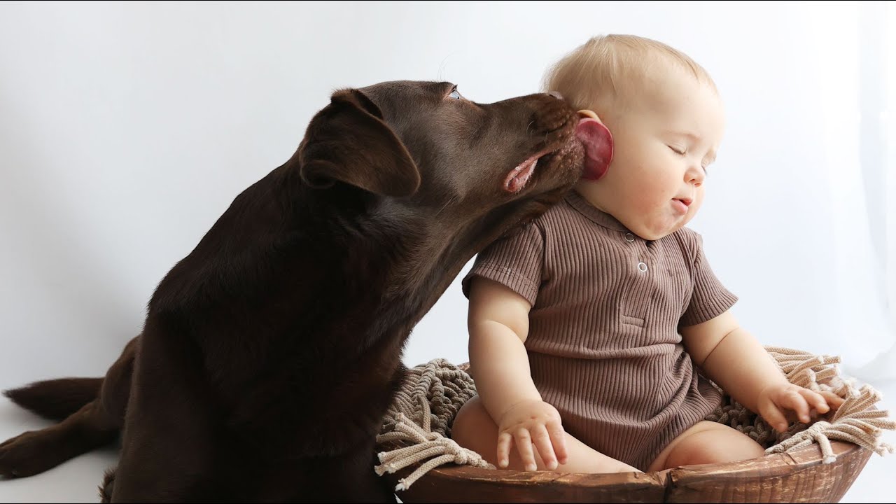 Captured The Cutest Kiss Between Baby and Dog