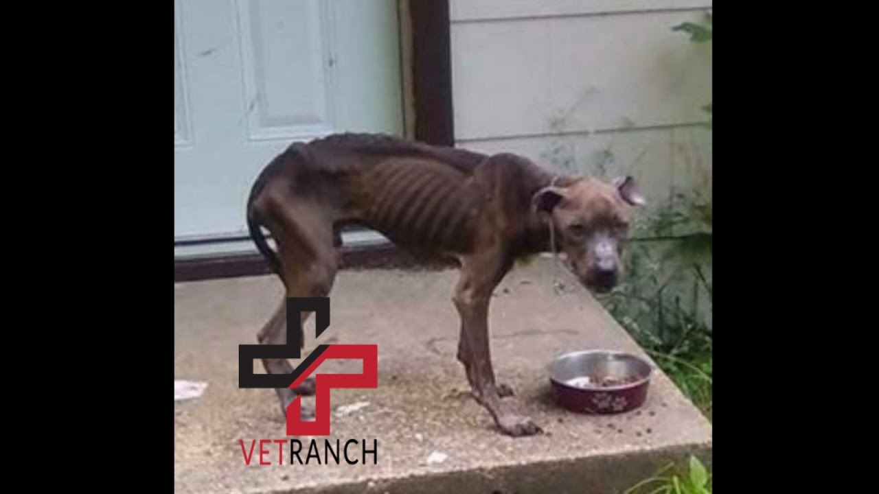 He Almost Starved To Death