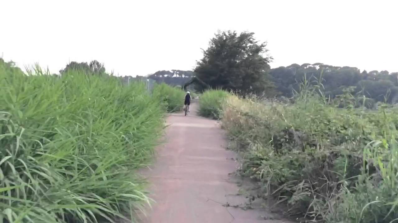 Degrado pista ciclabile Roma