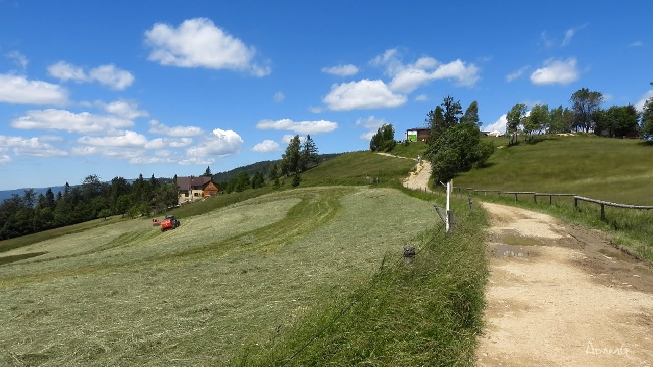 Cisiec,Boracza,Rajcza