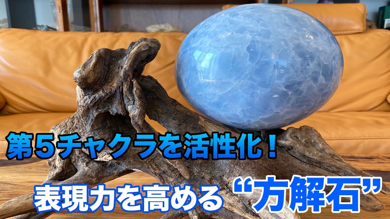 【ブルーカルサイト】The流木アート！世にも美しいマリアージュ！