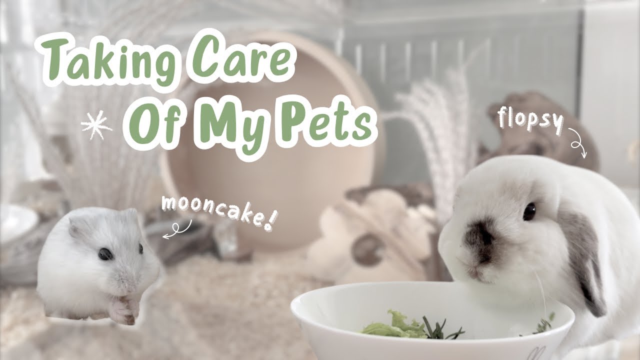Taking Care Of My Pets | Deep cleaning hamster cage, hydroponics update, and bunny playtime