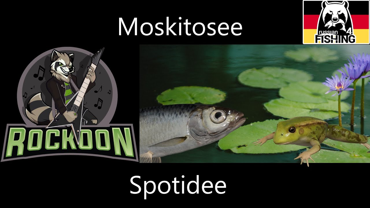 Aber bitte mit Fliege! Zwischen Laube und Frosch | Russian Fishing 4 | #koontainment | deutsch