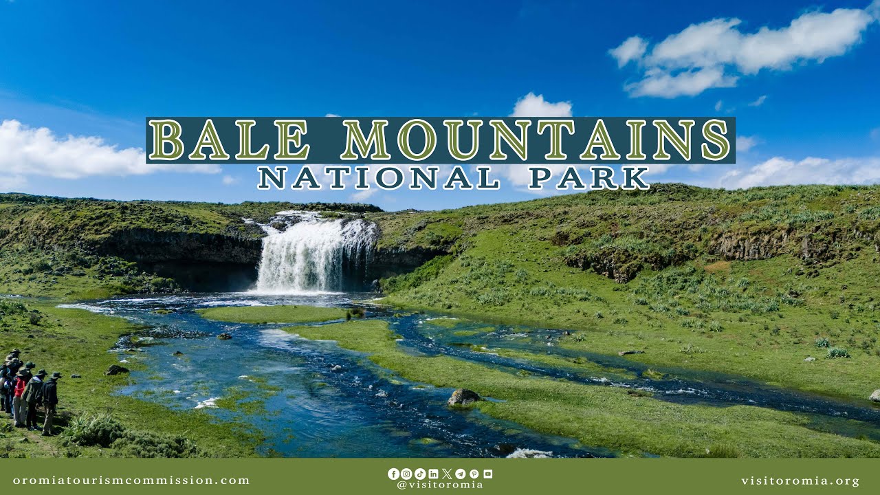 Visit Oromia -- Bale Mountains National Park