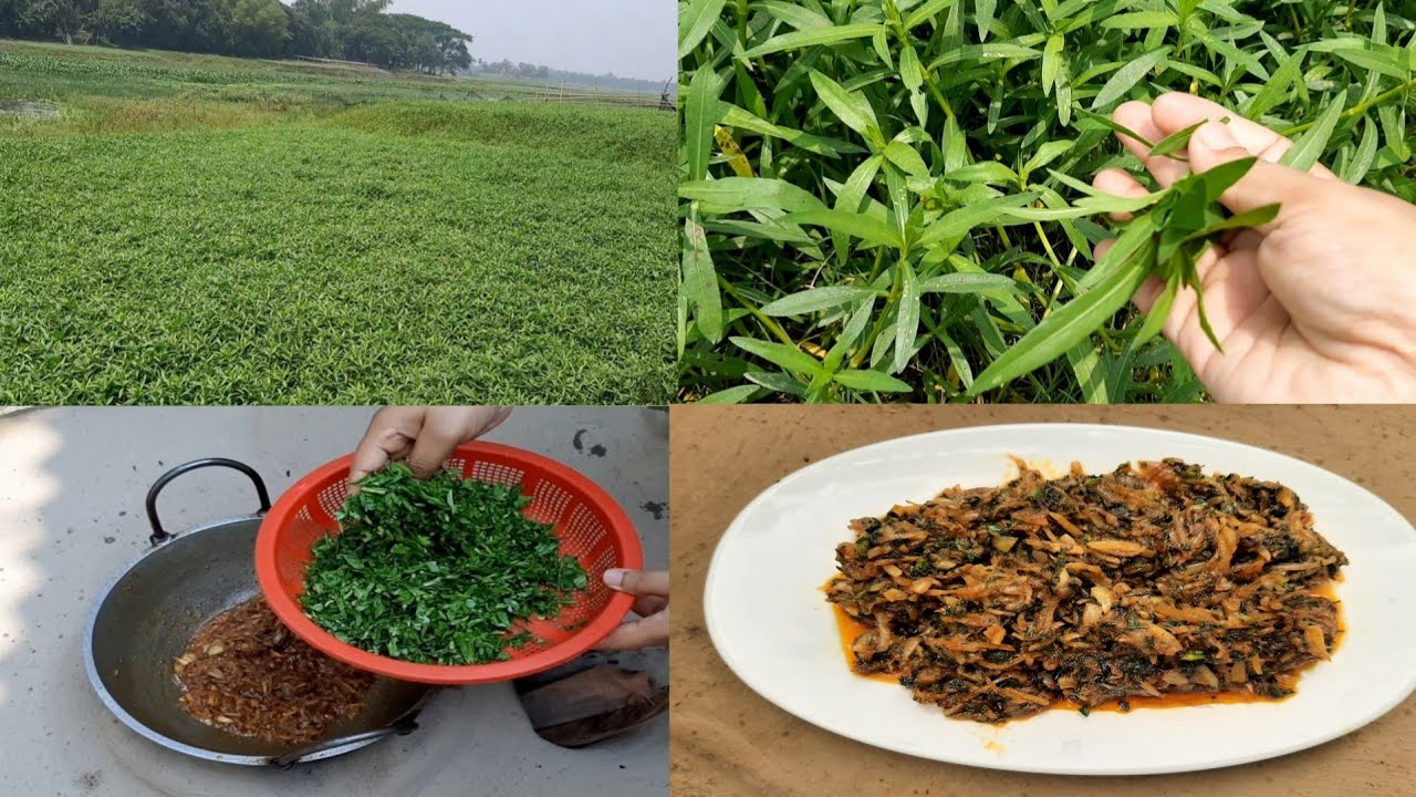 চ্যাপা শুটকির দুর্দান্ত রেসিপি। যারা চরম ঝাল খেতে পছন্দ করেন তাদের সহ সকলের পছন্দের শুটকির রেসিপি।