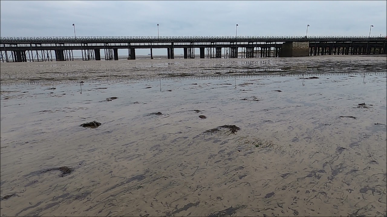 Virtual Walk - Ryde At Low Tide - The Geese Are Back! - Isle Of Wight - November 2021 | kittikoko