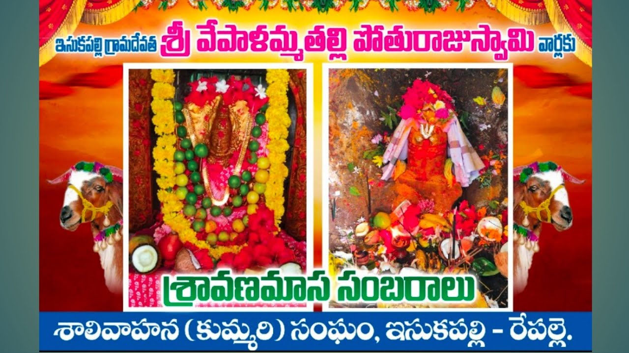 10-8-25 ఇసుకపల్లి గ్రామదేవత శ్రీ వేపాలమ్మ తల్లి పోతురాజు స్వామివారికి శ్రావణమాస మహాసంబరం #repalle 