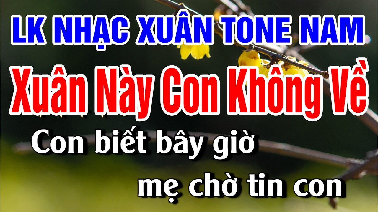 Liên Khúc Xuân Này Con Không Về | Nhạc Tết 2026 Tone Nam Tuyển Chọn Càng Hát Càng Hay