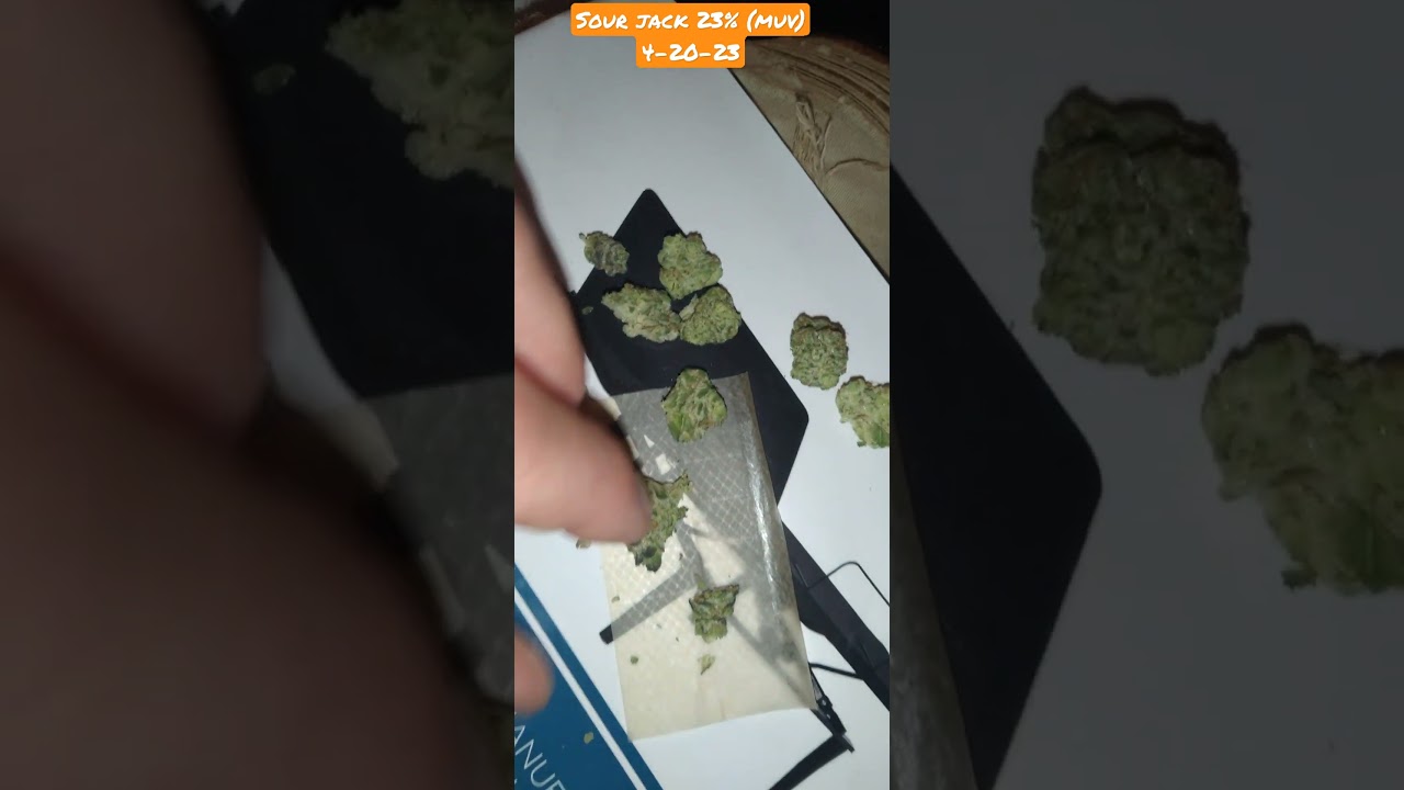 sour jack 23%(muv)4-20-23 @SmokeNLiftSparta