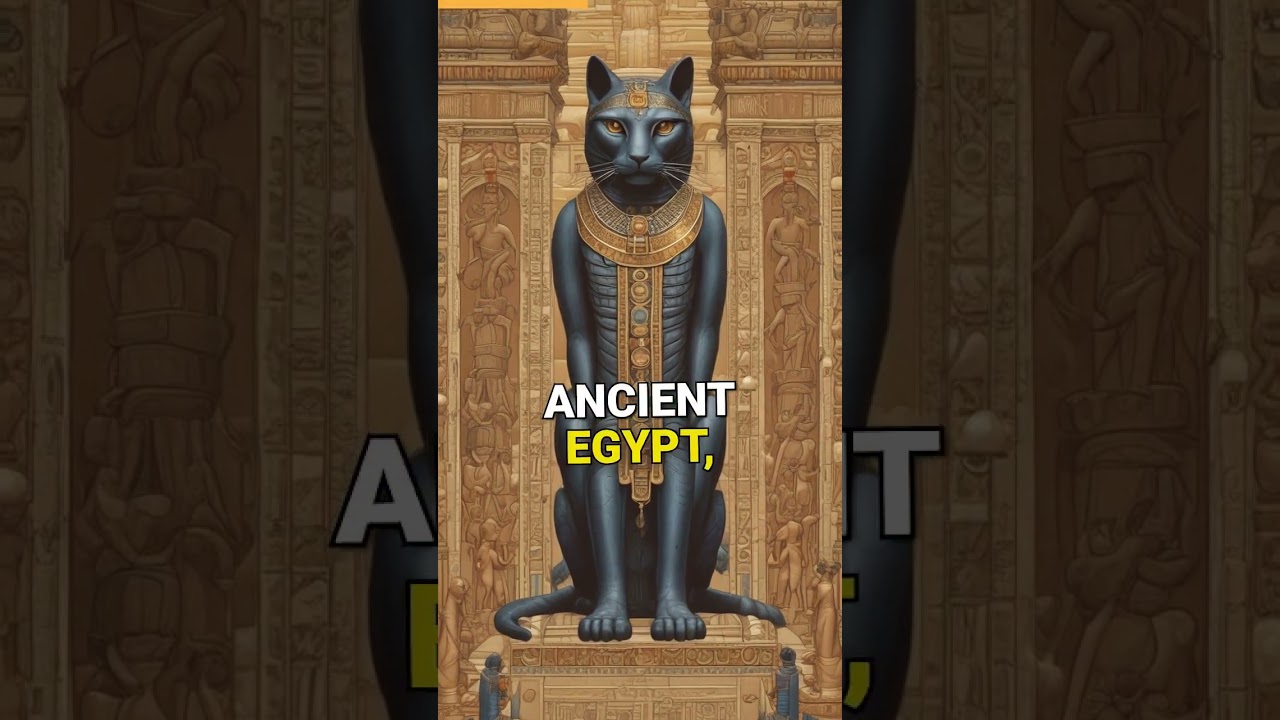 Cat Superstitions Around the World