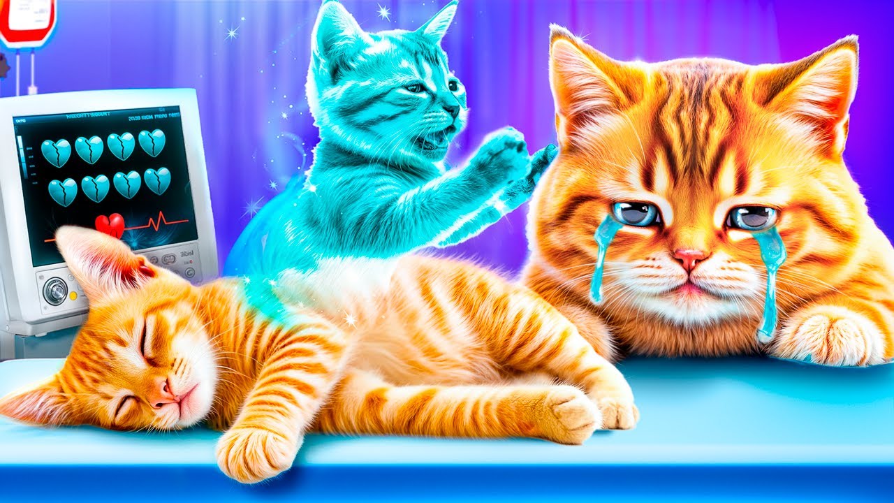 Save This Kitty! Extreme Hospital Pet Rescue!