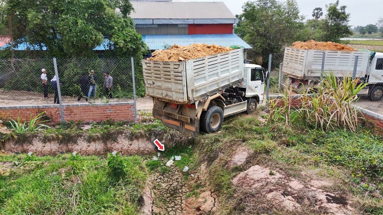 Perfect Full Project Process, NISSAN Trucks 5T Start Dumping Land Small POND & D20P Bulldozer Push