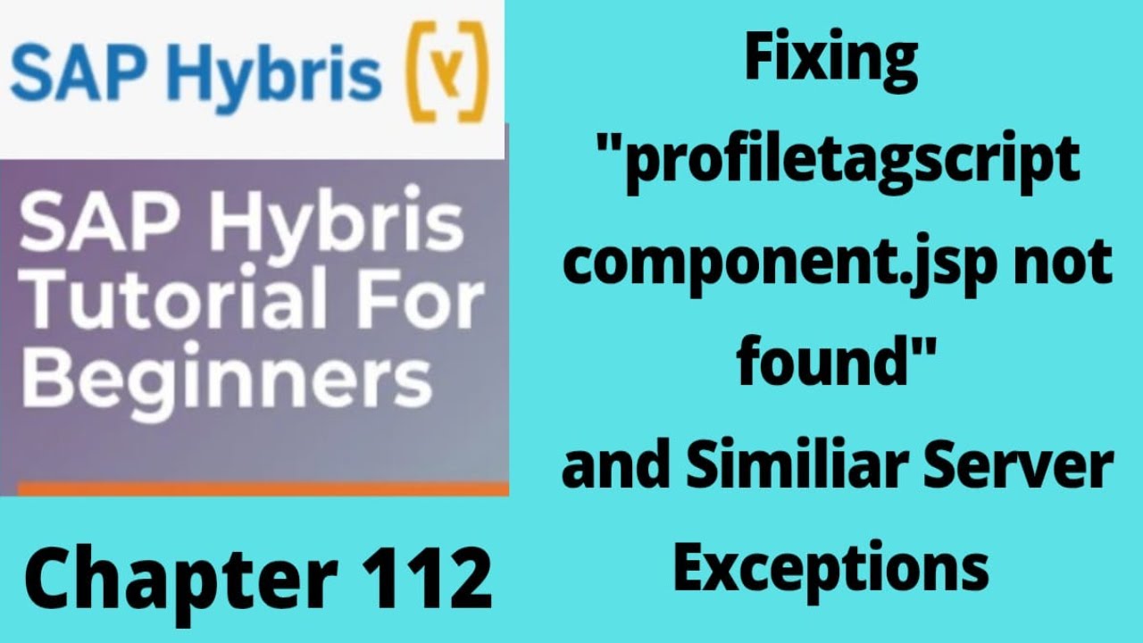 Fix Missing JSP Errors in SAP Hybris | personalizationaddon, profiletagaddon, assistedservice