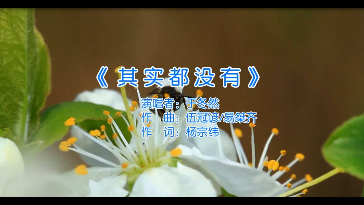 于冬然 其实都没有(MTV)