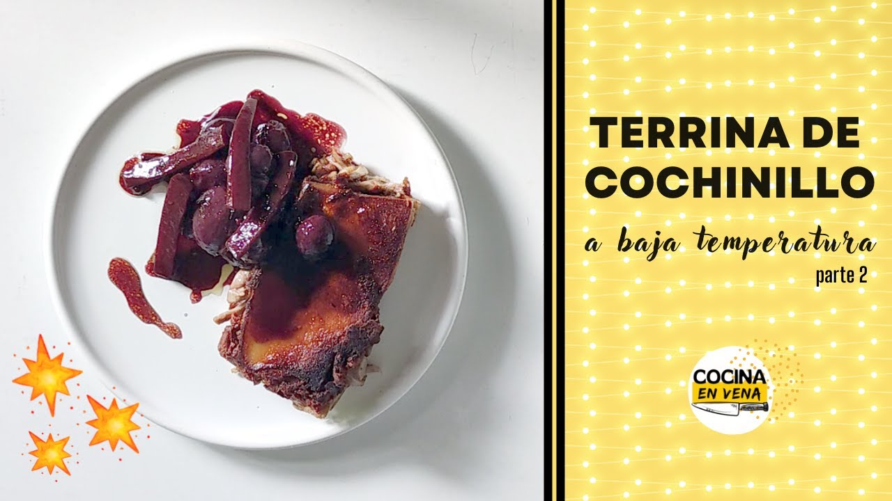 🛑 TERRINA DE COCHINILLO a Baja Temperatura para NAVIDAD (parte 2)