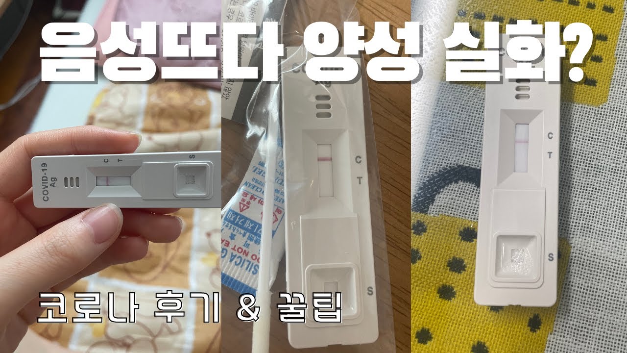 코로나, 제가 한번 걸려봤습니다. 코로나 후기 & 꿀팁