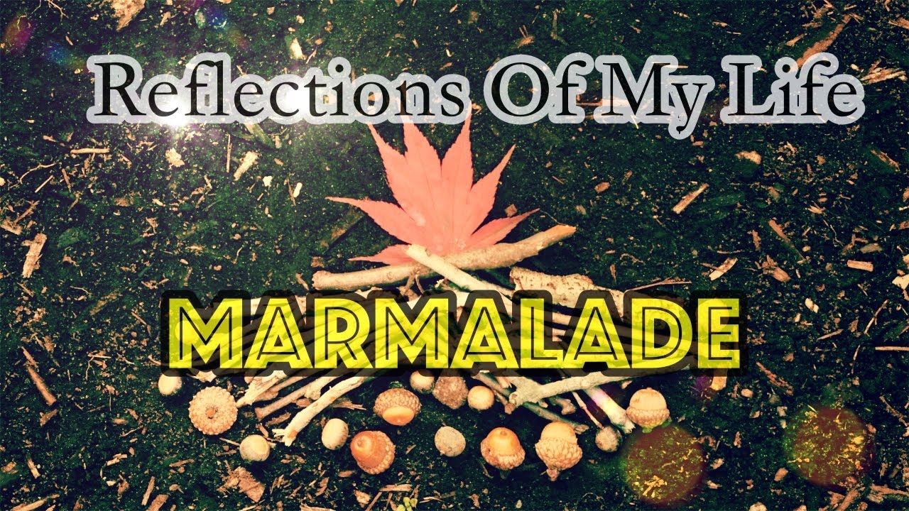 🍁🍂 The Marmalade ⭐️   Reflections Of My Life (TRADU&Ccedil;&Atilde;O) 1969
