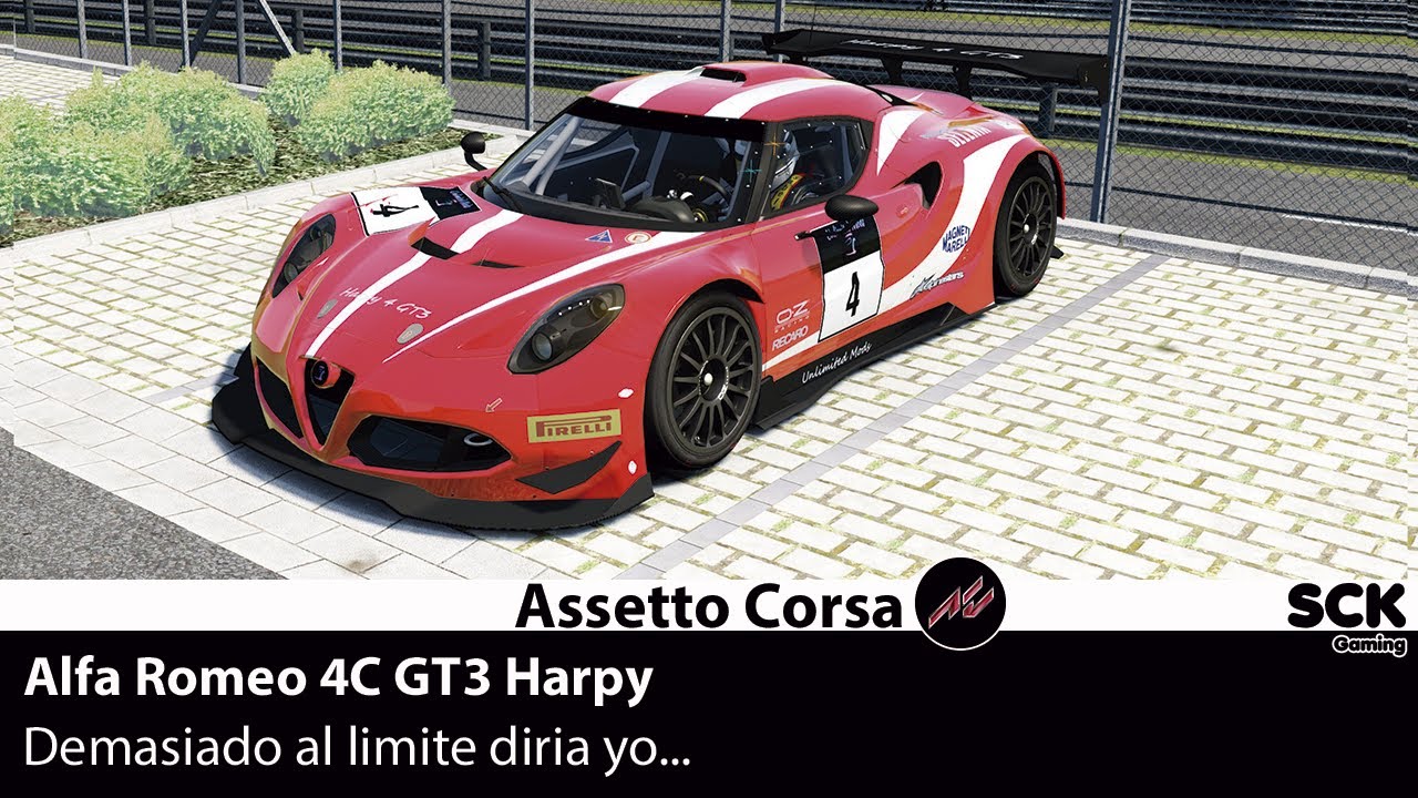 ASSETTOLAND - 🚩 Nurburgring Tourist - Alfa Romeo 4C GT3 Harpy ► #8◄