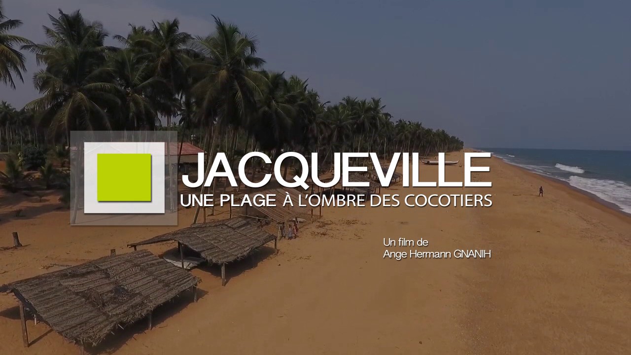 Mon Beau Pays Vu du Haut/Jacqueville, une plage au sable fin à l'ombre d'une forêt de cocotiers
