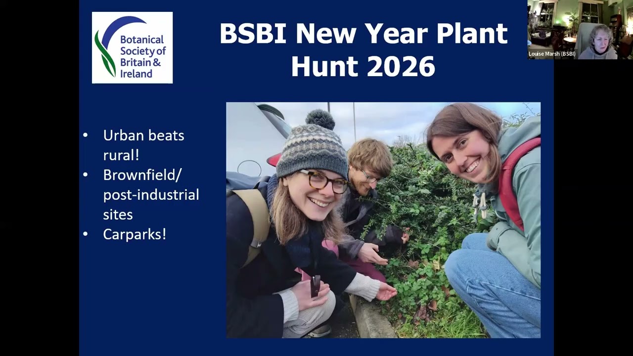 New Year Plant Hunt - Citizen Science in a Changing Climate