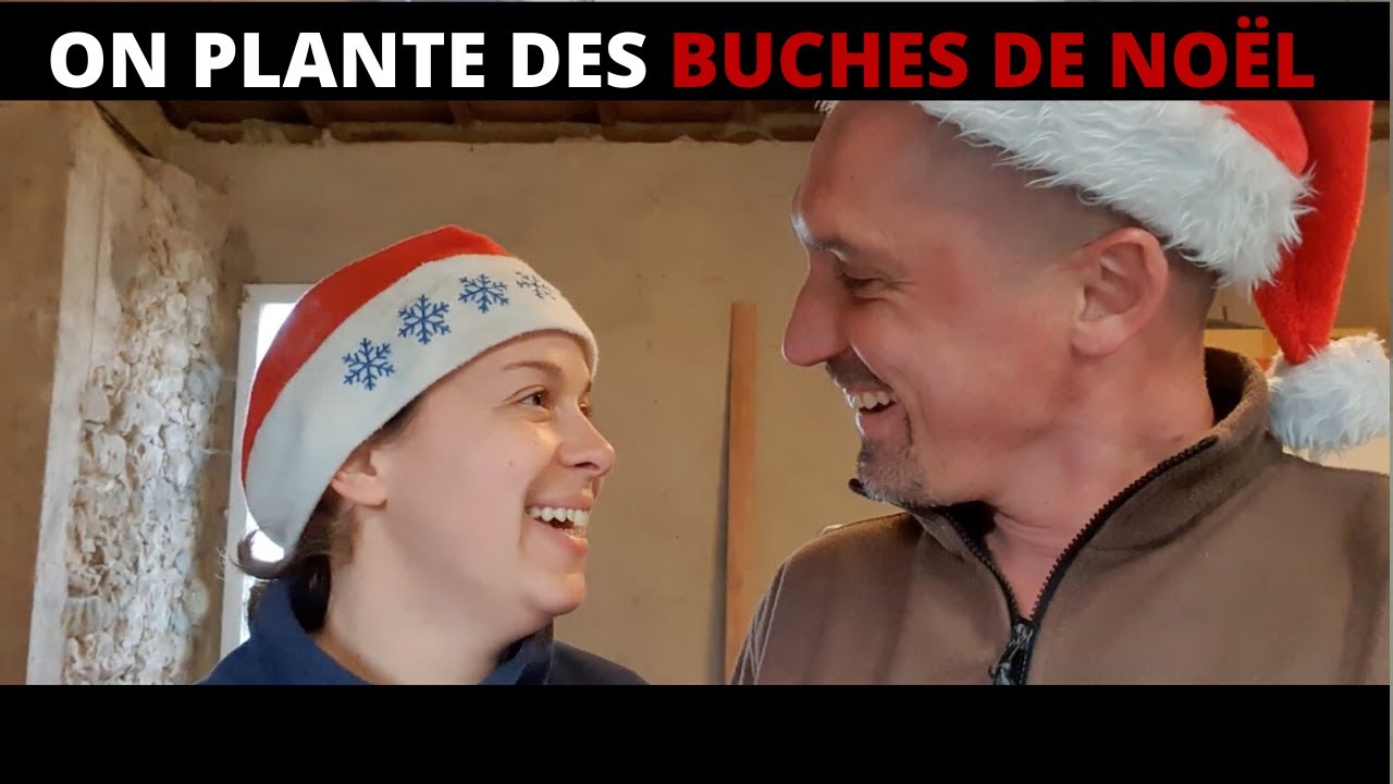 Planter des champignons dans son jardin