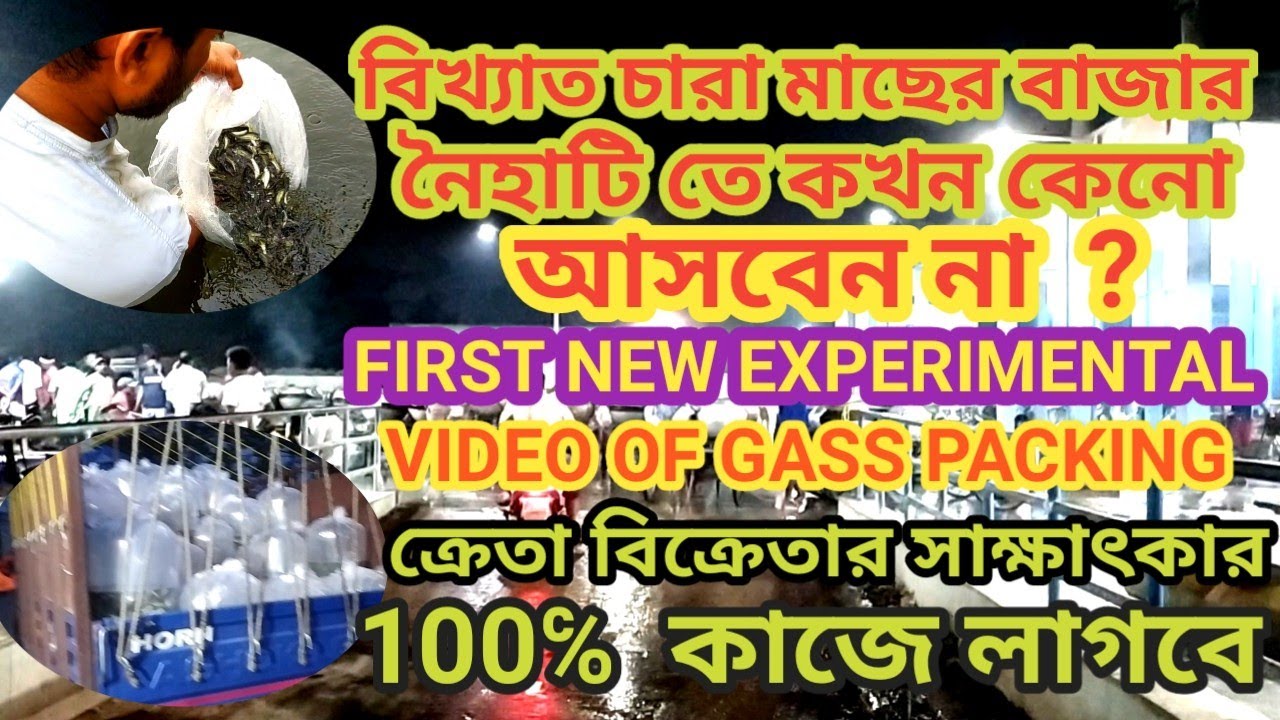 বিখ্যাত চারা মাছের বাজার নৈহাটিতে কখন কেনো আসবেন নাEXPERIMENTAL VIDEO OF GASS PACKING.100℅কাজে লাগবে