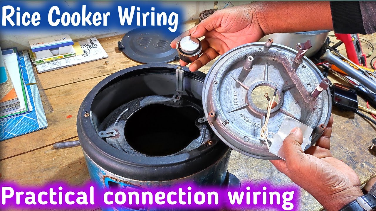 Rice cooker wiring connection | rice cooker circuit diagram in Bangla
