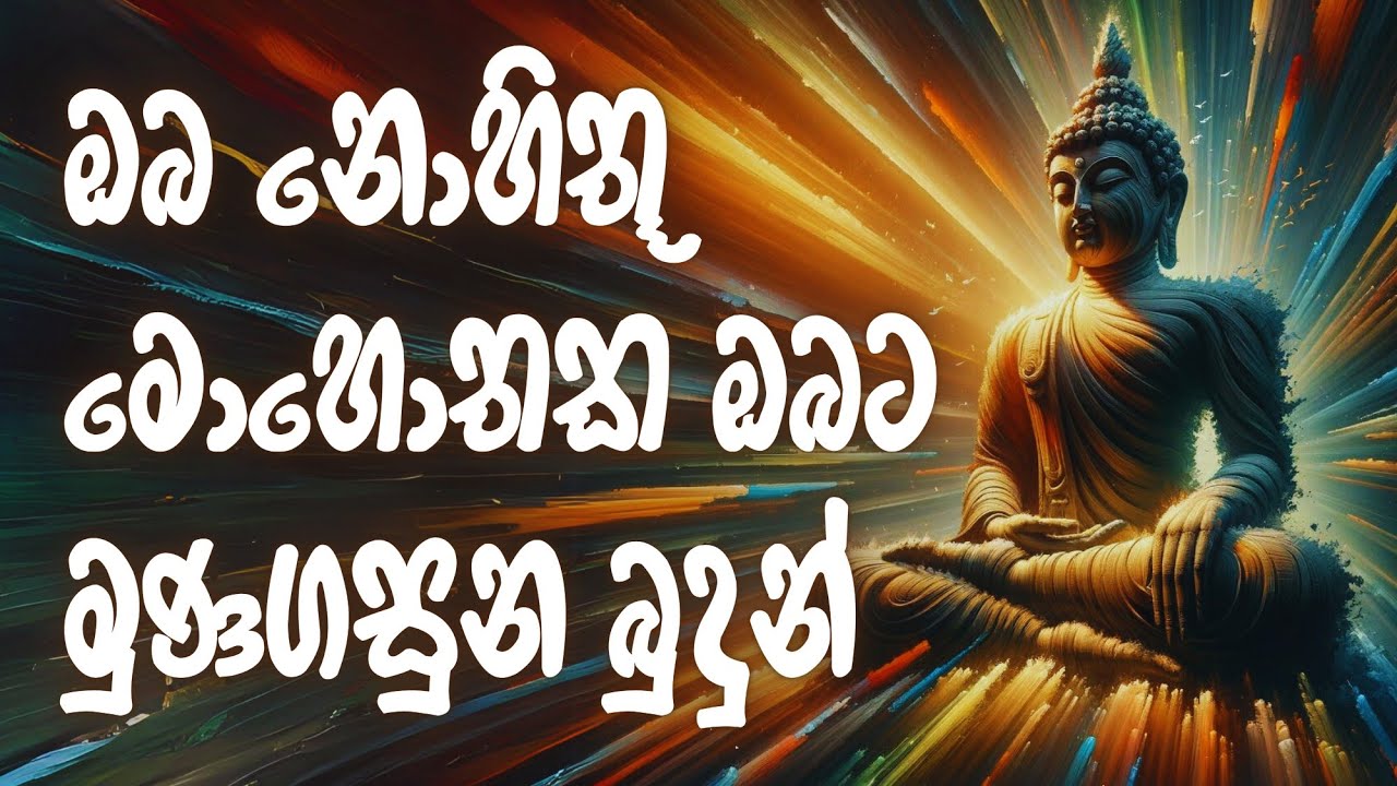 නොහිතන මොහොතක ඔබට හමුවන මාර්ග ඵලයන් #නිවන්_මග_සිහියෙන්