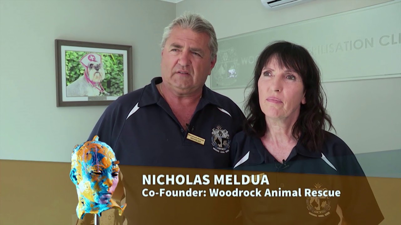 Pedigree & WhiskasWoodrock Animal Rescue | Afternoon Express