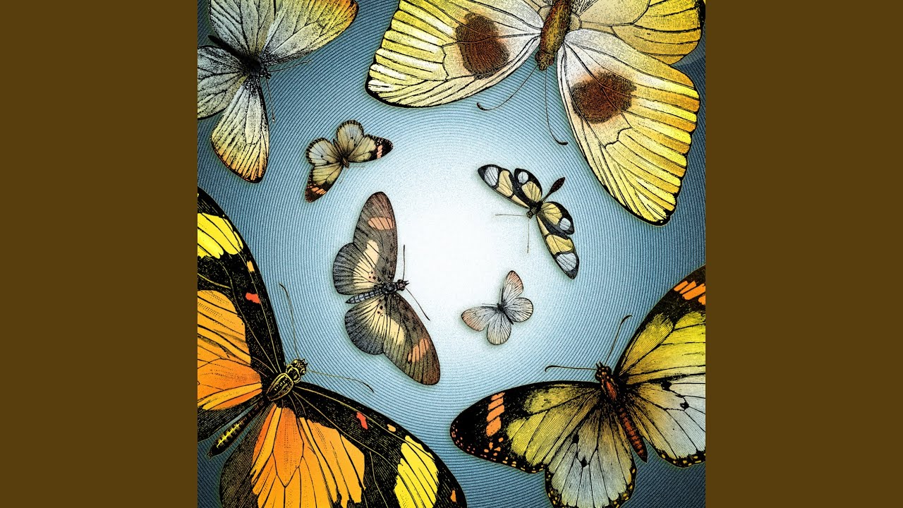 Fascination