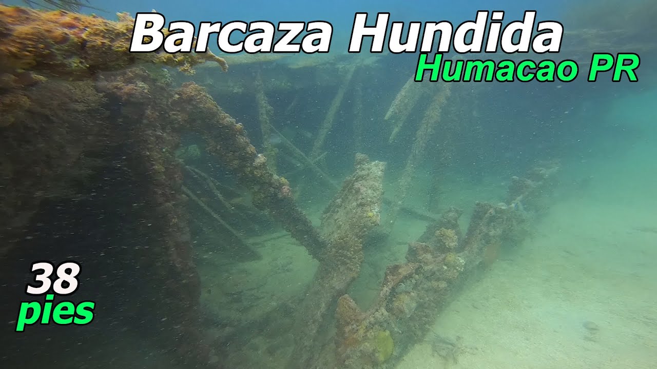 Buceada a 64 pies, vi Tiburon Gata y Naufragio Barcaza a 38 pies en Humacao, Puerto Rico.
