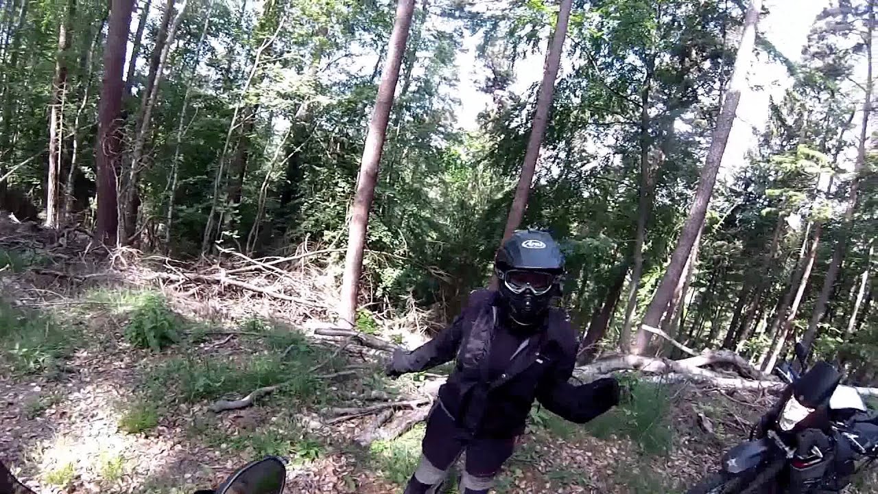 Forest Ride with F800GS, T&eacute;n&eacute;r&eacute; 660, XT660R, Ural