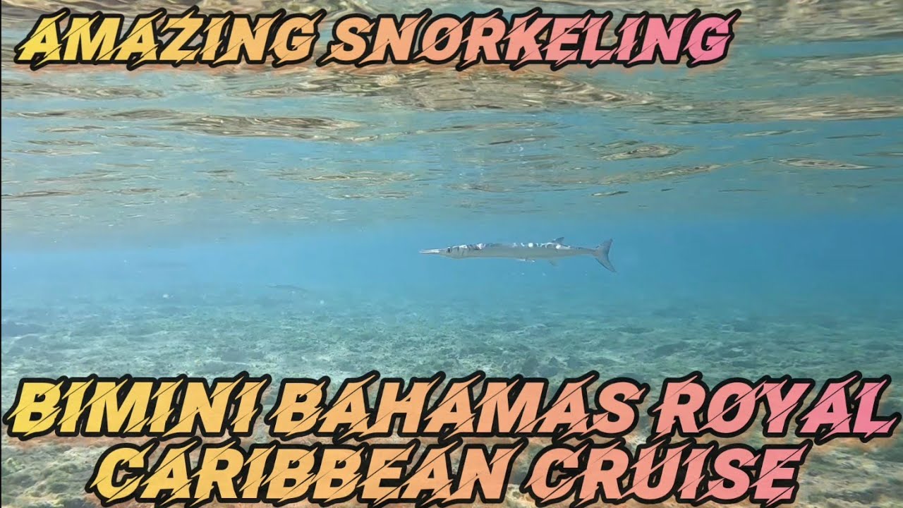 BIMINI BAHAMAS SNORKELING While Cruising Royal Caribbean Voyager of the Sea #snorkeling #vacation