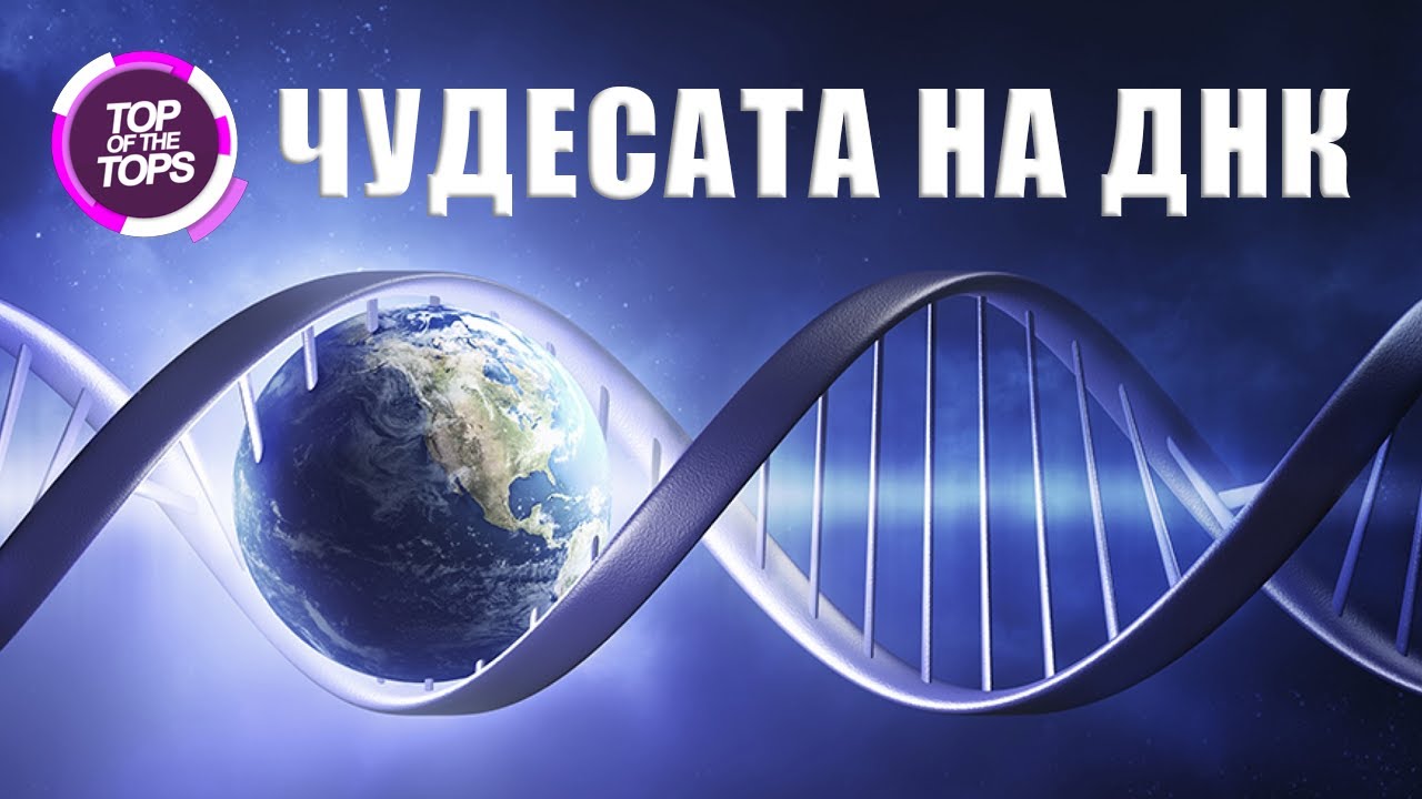 Топ 10 удивителни факта за ДНК