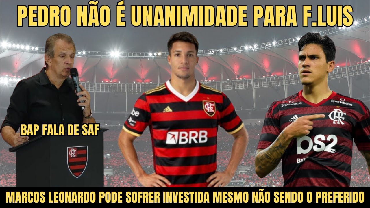 PEDRO NÃO É UNANIMIDADE PARA F.LUIS,M.LEONARDO PODE SOFRER INVESTIDA MESMO NÃO SENDO O PREFERIDO