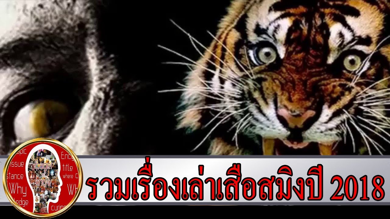 รวมเรื่องเล่าเสือสมิง | Eager of Know