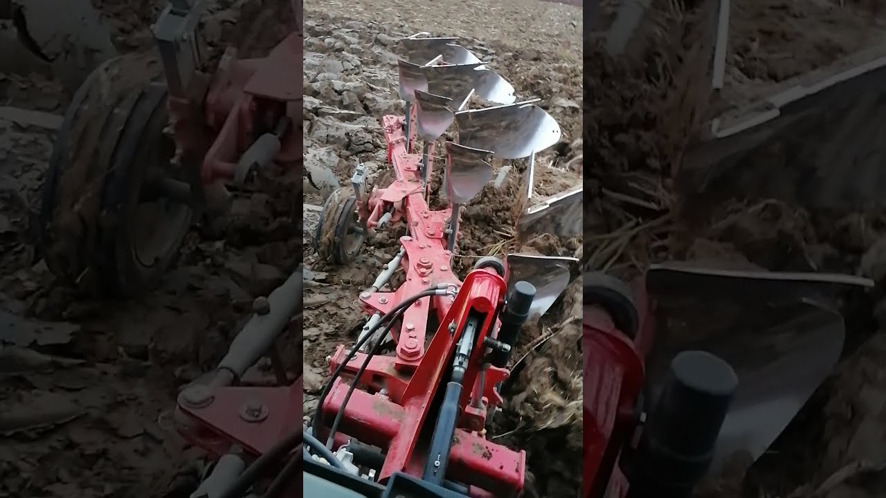 Massey Ferguson 6265 &  Unia ibis Plus