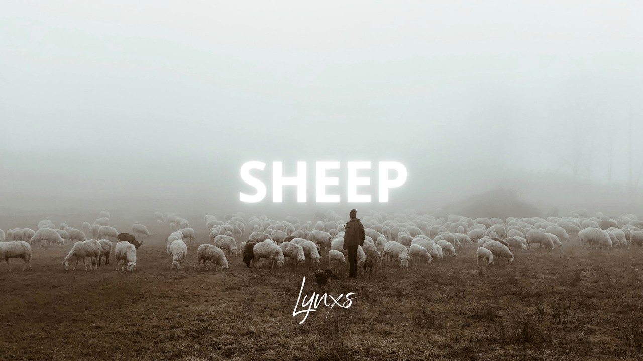 Guitar Trap Beat 'Sheep' (Prod. By Lynxs)
