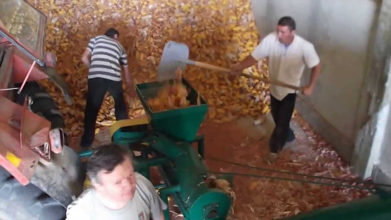 Tengeri Morzsoló